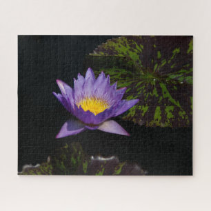 Quebra-cabeça de Waterlily Jigsera Roxo
