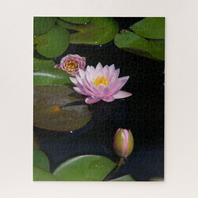 Quebra-cabeça de Waterllírios Rosa (Vertical)