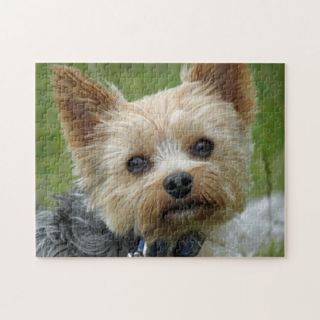 Quebra-cabeça de Yorkie (Horizontal)