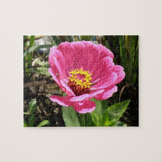 Quebra-cabeça de Zinnia Rosa bonito (Horizontal)