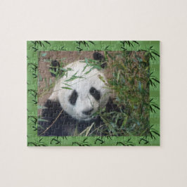 Quebra-cabeça de Zoológico: Panda Bonita