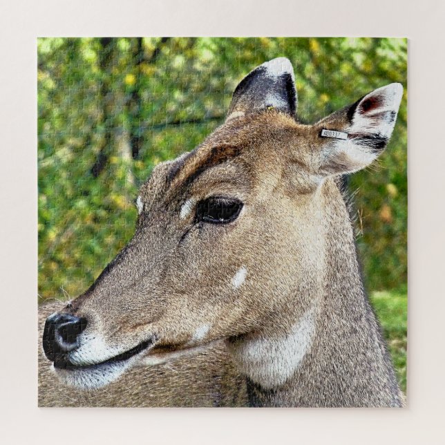 QUEBRA-CABEÇA DEER (Vertical)