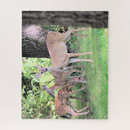 Quebra-cabeça Deer