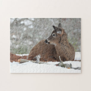 Quebra-cabeça Deer Fawn felpudo-branca descansando na neve