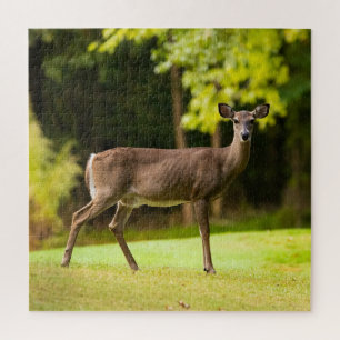 Quebra-cabeça Deer on Golf Course