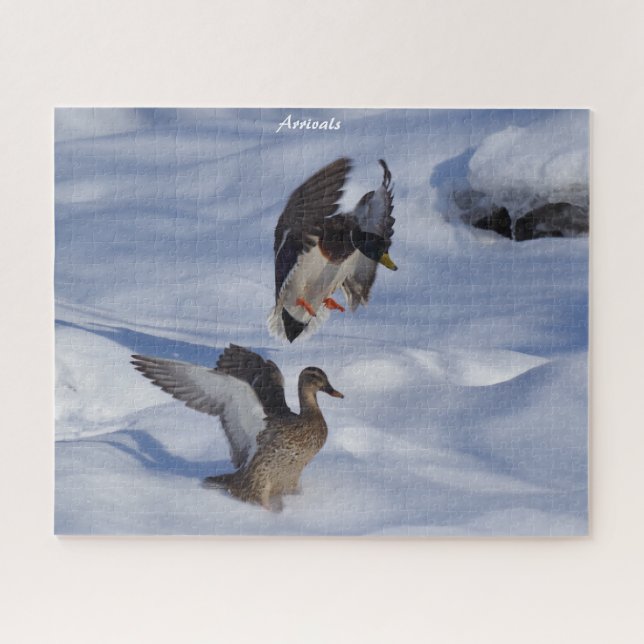 Quebra-cabeça Deparações de Patos de Mallard (Horizontal)