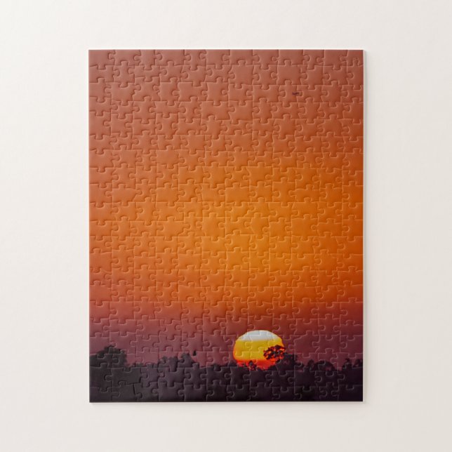 Quebra-cabeça Desafiando Árvores Laranja Sunset San Diego (Vertical)