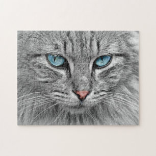 Quebra-cabeça Desafiando Cinzas por gato com olhos azuis