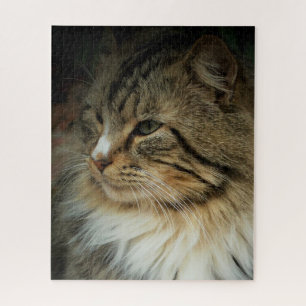 Quebra-cabeça Desafiando Gato Florestal Norueguês