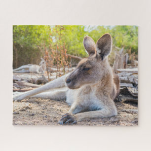 Quebra-cabeça Descanso de canguru australiano