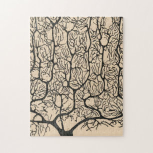 Quebra-cabeça Desenho De Neuron Por Santiago Ramón Y Cajal