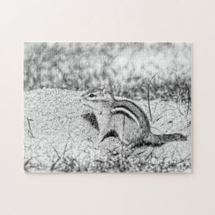 Quebra-cabeça Desenho do Chipmunk