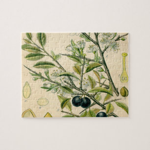 Quebra-cabeça Desenho Floral Antiquado De Impressão Botânico