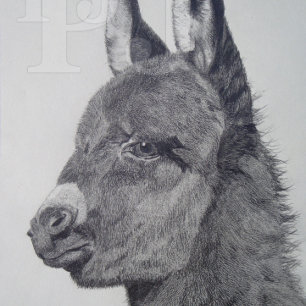 Quebra-cabeça desenho preto e branco semelhante à vida de burro