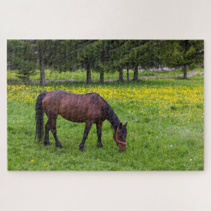 Quebra-cabeça Desfiladeiro de Tihuta, Cavalo no Pasto
