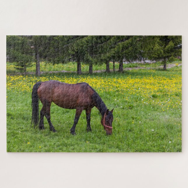 Quebra-cabeça Desfiladeiro de Tihuta, Cavalo no Pasto (Horizontal)