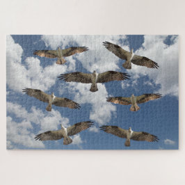 Quebra-cabeça Desfile de Osprey no céu