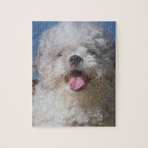 Quebra-cabeça desgrenhado do cão de caniche