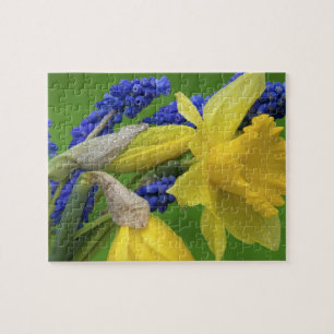 Quebra-cabeça Detalhe das flores de narciso e jacinto. Crédito