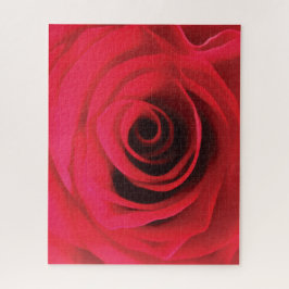 Quebra-cabeça Detalhe floral de botão de rosa vermelha fogo