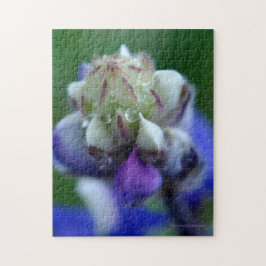 Quebra-cabeça Dew Dappled Lupine