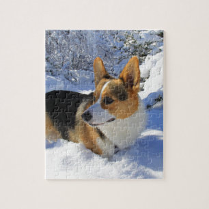 Quebra-cabeça Dia da neve do Corgi de Galês