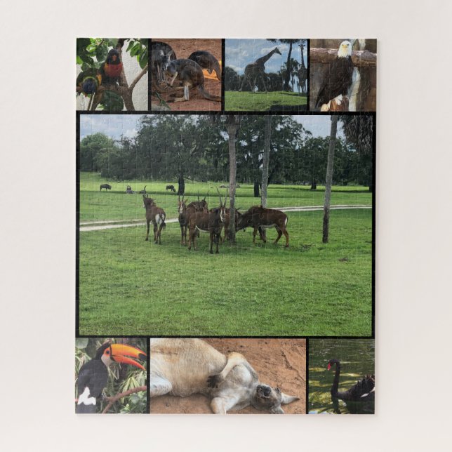 Quebra-cabeça Dias no Zoológico - Colagem de Animais Puzzle (Vertical)