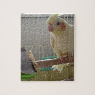 Quebra-cabeça Diversão em Cockatiel
