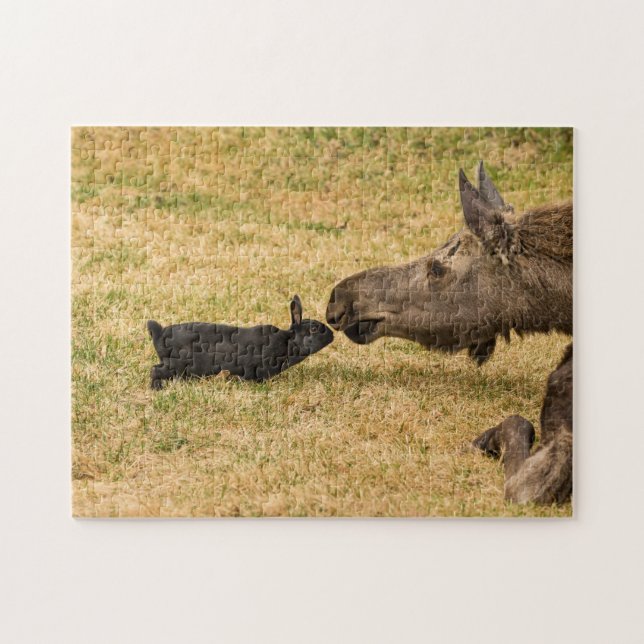 Quebra-cabeça Diversidade (Horizontal)