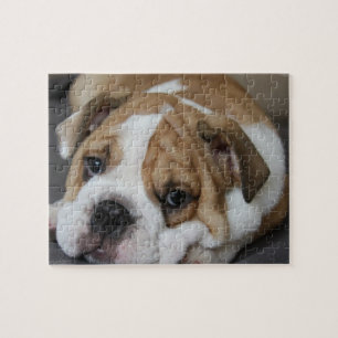 Quebra-cabeça do buldogue do sono