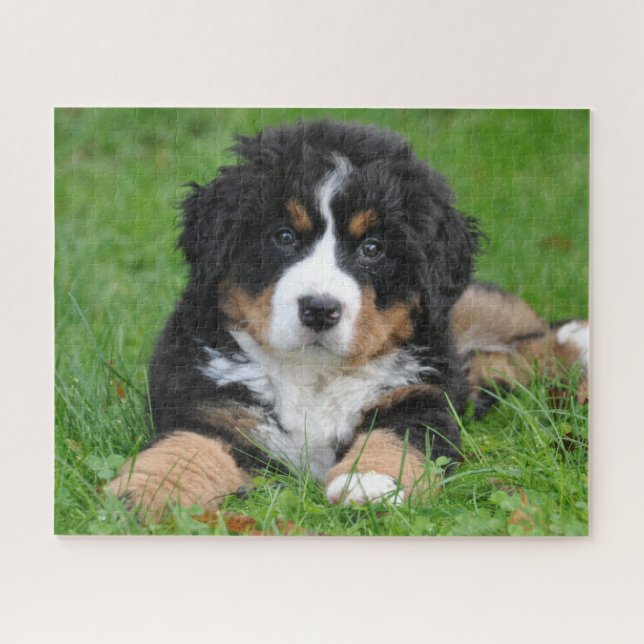 Quebra-cabeça do Cachorro de Montanha Bernês Filho (Horizontal)
