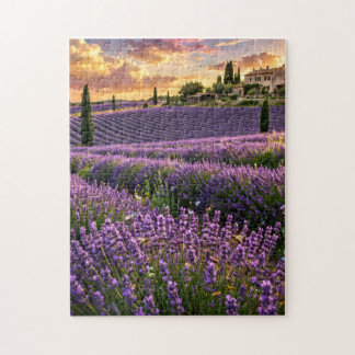 Quebra-cabeça do Campo de Lavanda
