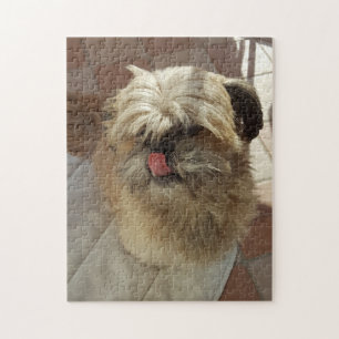 Quebra-cabeça do cão de Shih Tzu