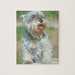 Quebra-cabeça do cão do Schnauzer