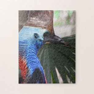 Quebra-cabeça do Cassowary