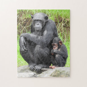Quebra-cabeça do chimpanzé