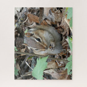 Quebra-cabeça do Chipmunk