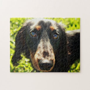 Quebra-cabeça do Dachshund