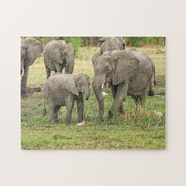 Quebra-cabeça do Elefante Mãe e Bebê (Horizontal)