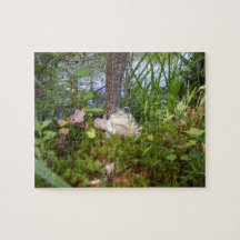 Quebra-cabeça do estojo compacto do sapo e do