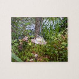 Quebra-cabeça do estojo compacto do sapo e do