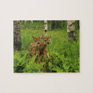 Quebra-cabeça do Fawn