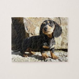 Quebra-cabeça do filhote de cachorro das karmas