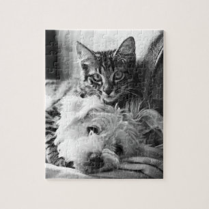 Quebra-cabeça do filhote de cachorro e do gatinho