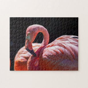 Quebra-cabeça do flamingo