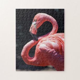 Quebra-cabeça do flamingo