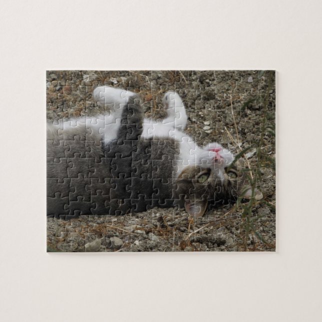 Quebra-cabeça do Gatinho para baixo (Horizontal)