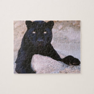 Quebra-cabeça do gato preto