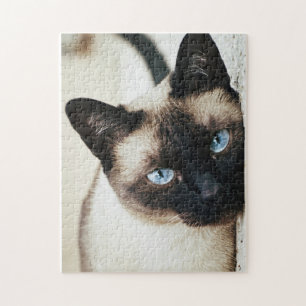 Quebra-cabeça do gato Siamese