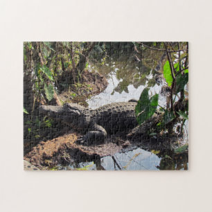 Quebra-cabeça do jacaré